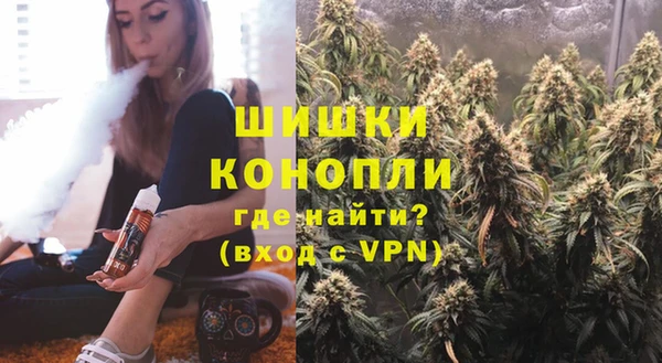 гидропоника Медногорск