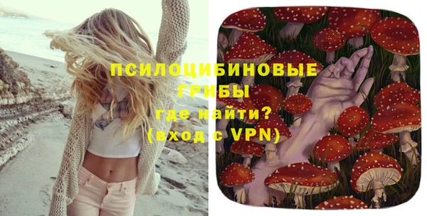 стаф Михайловка