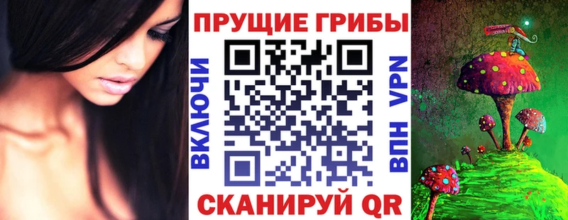 Галлюциногенные грибы Magic Shrooms  где можно купить наркотик  Заволжье 