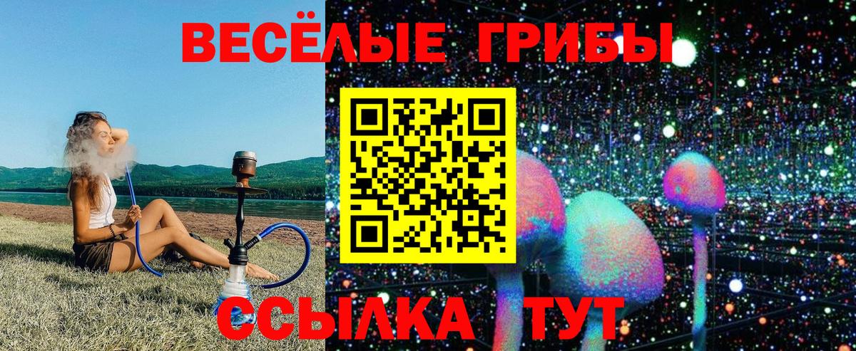 Псилоцибиновые грибы прущие грибы  Вход с VPN  Заволжье  дарнет шоп  Галлюциногенные грибы Psilocybe 