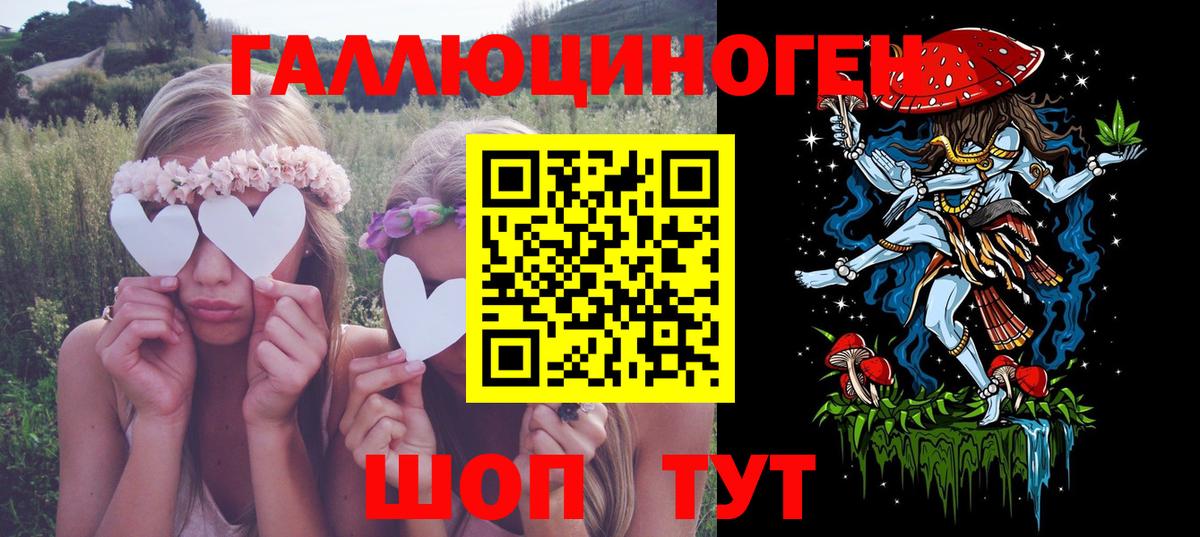 Галлюциногенные грибы Cubensis Заволжье