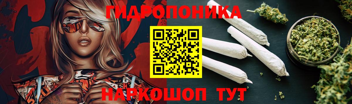 Марихуана марихуана  Бошки Шишки марихуана  Бошки марихуана план  Заволжье 